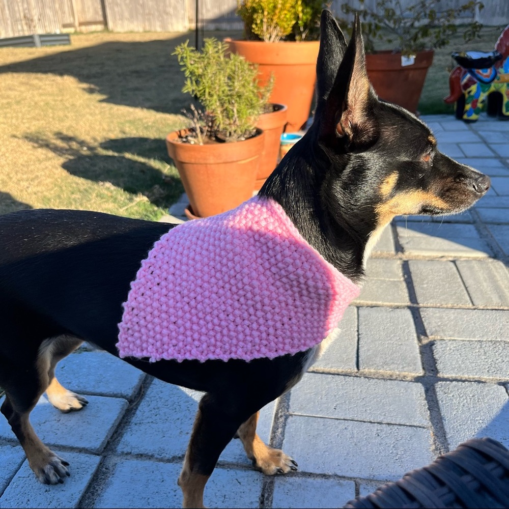 Dog Bandana Hand Knit in USA Western Dog Outfit Tie Scarf